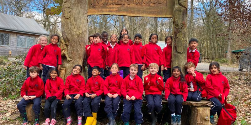 Nower Wood Trip