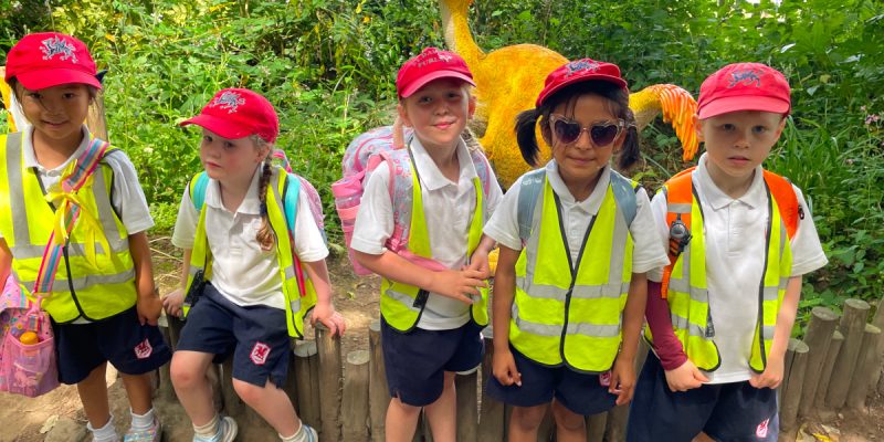 Godstone Farm Trip