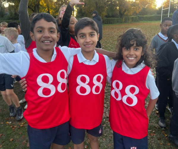 November Sports