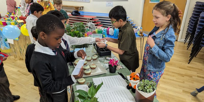 Enterprise Fair